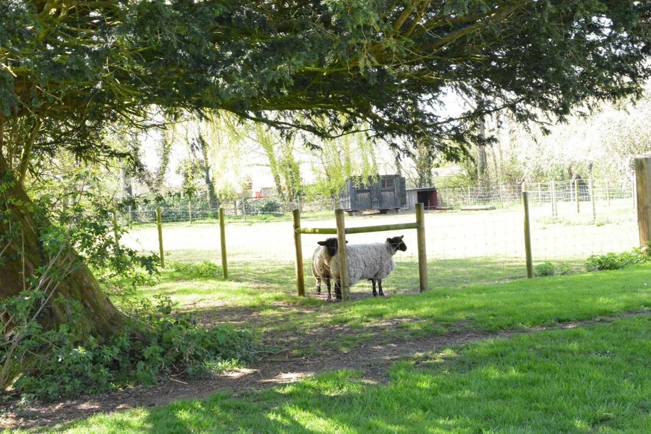 Yew Tree Farm Barn, Worlingworth Villa Buitenkant foto